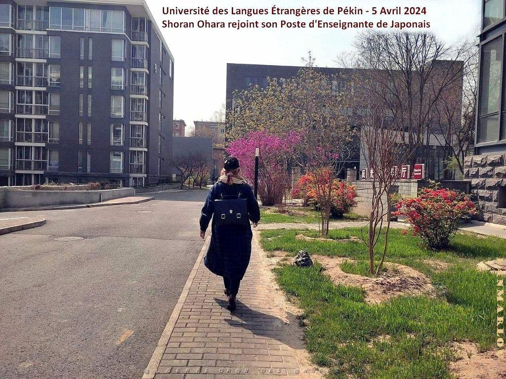 PEKIN - VIE QUOTIDIENNE - AVRIL A JUILLET 2024 - 03.jpg